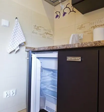 Apartamenty-plaza דירה זקופאנה