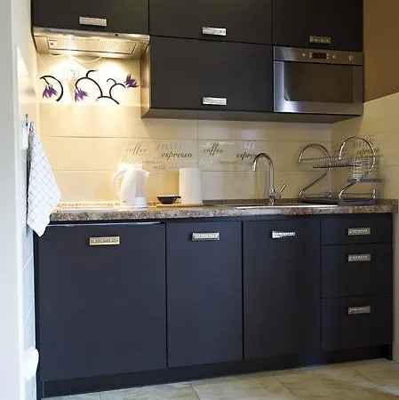 Apartamenty-plaza זקופאנה