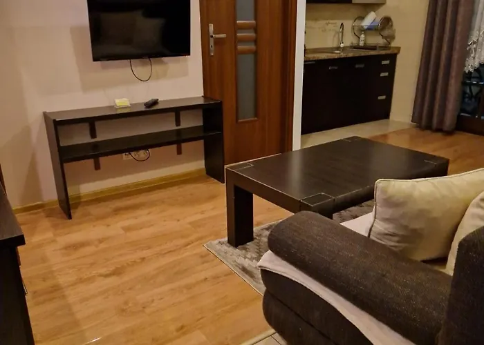 Apartamenty-plaza アパート ザコパネ