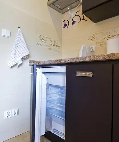 Apartamenty-plaza アパート ザコパネ