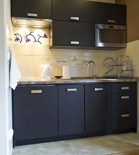 Apartamenty-plaza ザコパネ